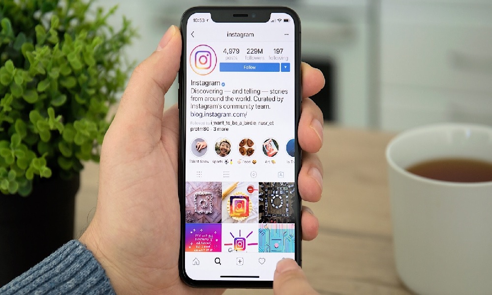 Using instagram insights to optimize your content for followers